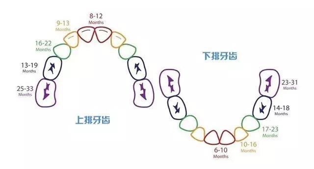 孩子做窝沟封闭的利弊,小宝宝牙齿需要做窝沟封闭吗？