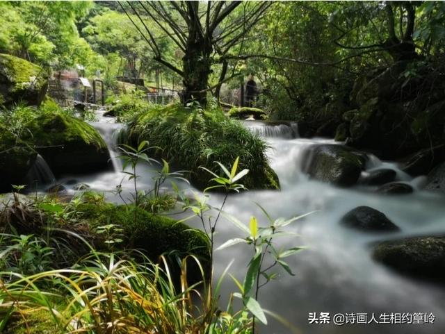 石家庄周边一日游,石家庄礼拜天去哪玩合适？