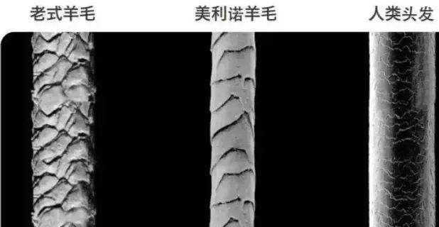 保暖内衣排行榜,有什么好穿的保暖内衣推荐？