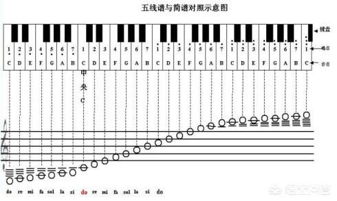 初学者如何学五线谱,新手如何快速学会看钢琴五线谱？