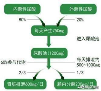 尿酸高的原因和危害,尿酸高有哪些危害？如何降尿酸？