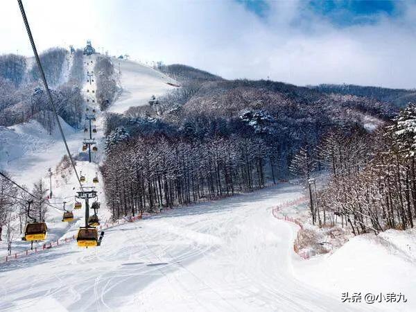 驴友是什么意思,驴友团为啥比旅游团受欢迎？