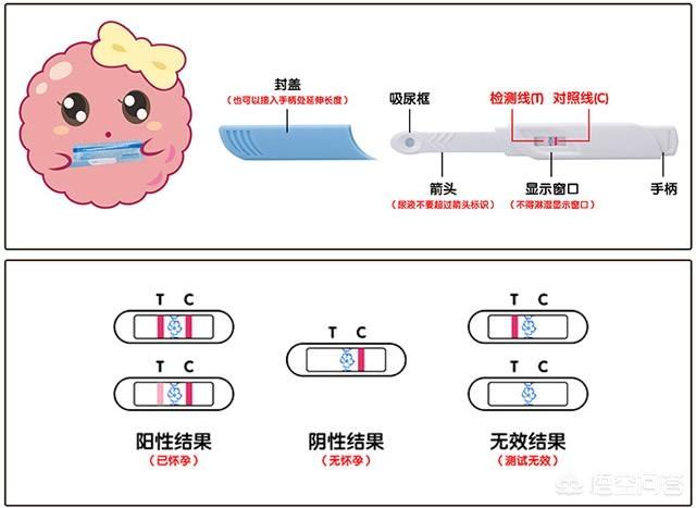 验孕棒怎么样才是怀孕,验孕棒一条杠是不是怀孕了？