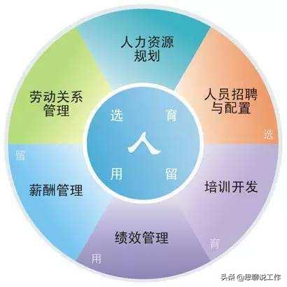 有什么职业,在中国，人力资源的工作有哪些？