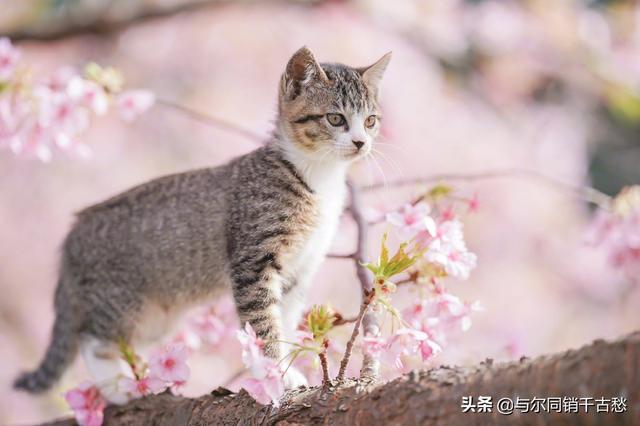 喜欢一个人心里状态,只喜欢一个人待着是病吗？