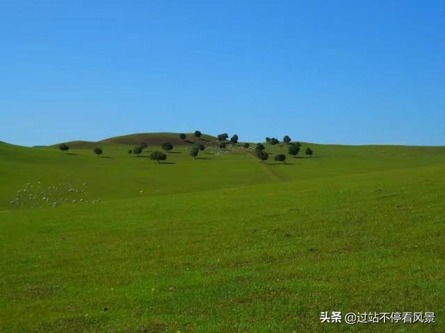 内蒙古呼伦贝尔大草原,每年几月份适合去内蒙古大草原？