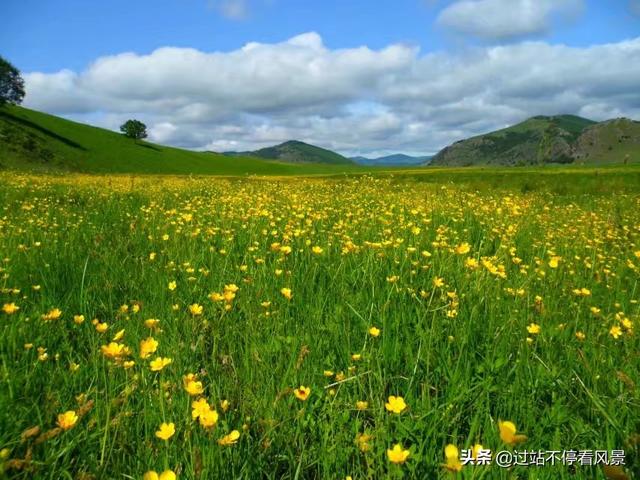 内蒙古呼伦贝尔大草原,每年几月份适合去内蒙古大草原？