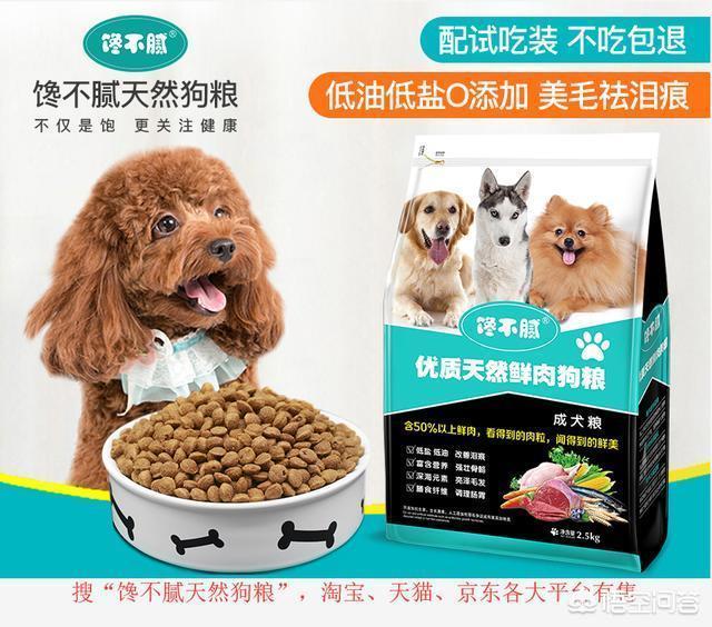 养巴哥最大的忌讳,给巴哥犬喂哪些食物是害了它呢？