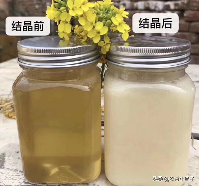 油菜花像什么,蜂蜜像猪油一样说明了什么？