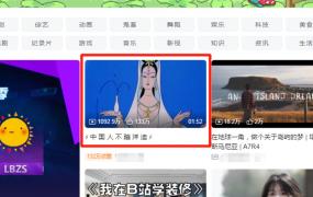 bilibili字幕怎么开