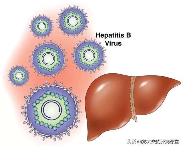 如何检查肝脏是否健康,如何能看出肝脏是否健康？