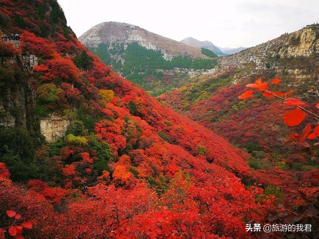 临朐旅游景点,临朐有哪些旅游景点值得推荐的？