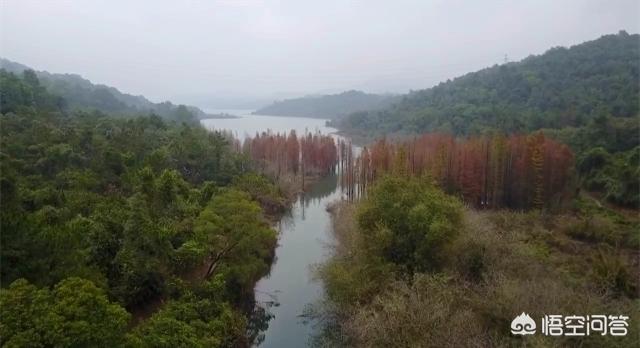 中山旅游,广东中山一日游，可以去哪里？