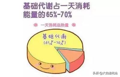 什么是碳水,健身期间，碳水该怎么摄入？