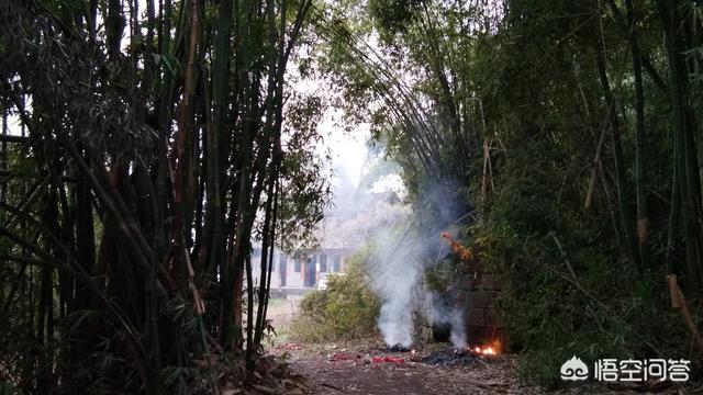 烧纸图片,逢年过节祭祖烧纸真的有必要吗？