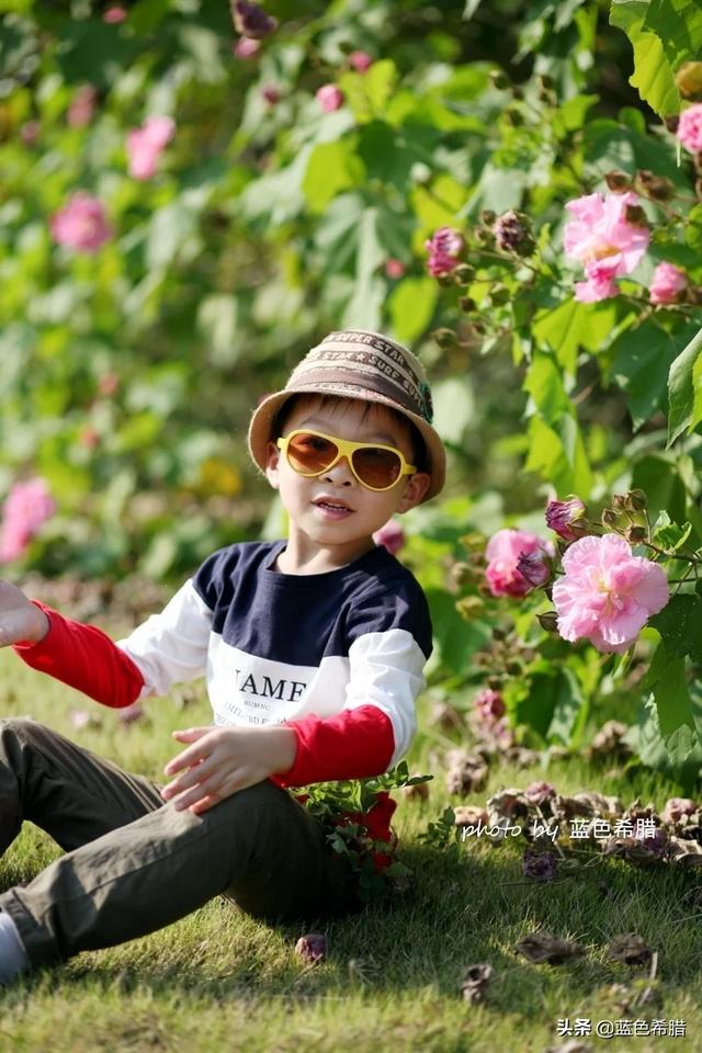 关于秋天的图片,秋天是不是摄影爱好者的好季节？