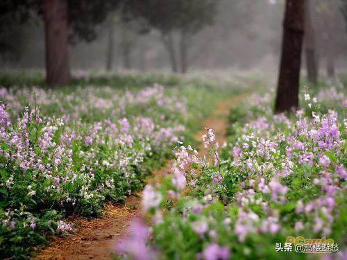 申璇裴锦程总裁绯闻妻全文,你最喜欢哪首诗，为什么？