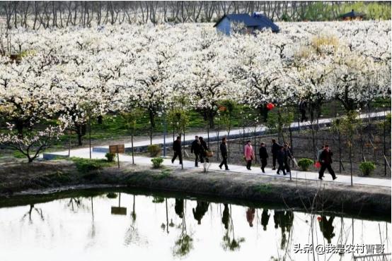 江淮之蜂蟹,广东哪个城市的海鲜最好吃？