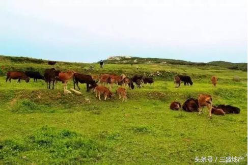 无人的海边,中国有哪些适合野营的无人岛？