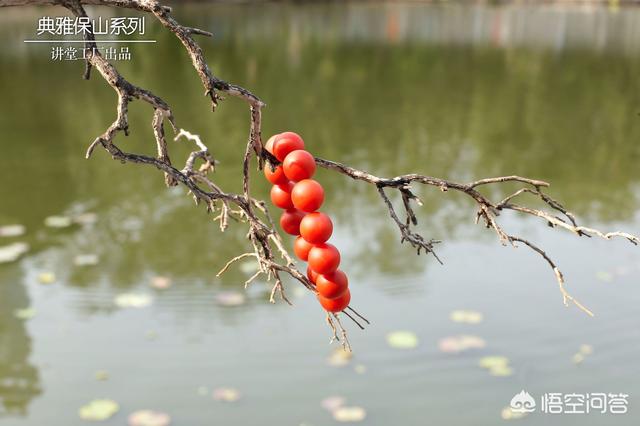 保山南红玛瑙价格,老南红玛瑙的价格是什么样的？