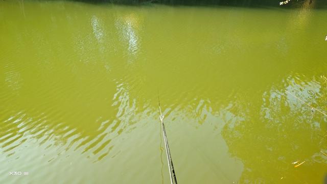 混水摸鱼含着太大了,暴雨过后变成黄汤了，怎么钓鱼？