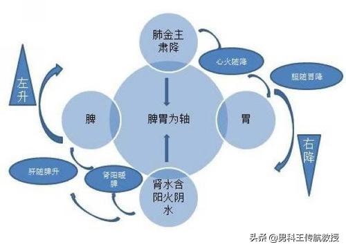 老年补肾,老人养生的黄金时段是什么时候？