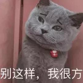 ozy,是不是越好的猫粮吃的越少？