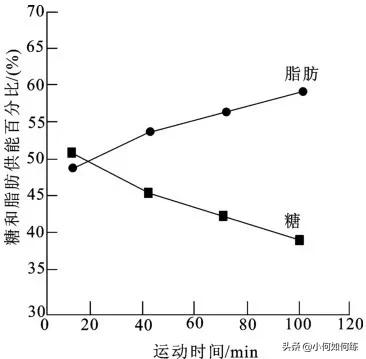 杀手耗,跑步半小时以上才能消耗脂肪吗？