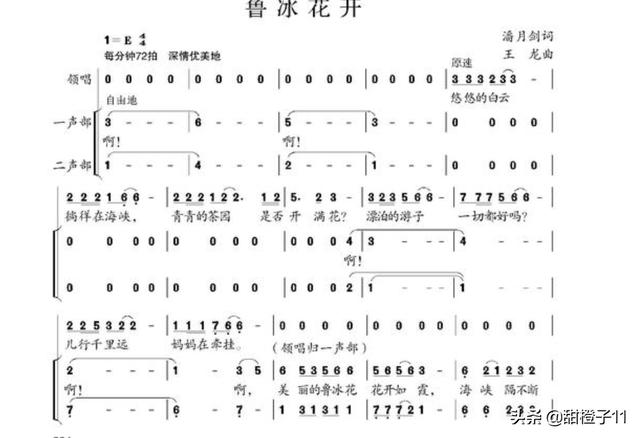 鲁冰花歌词,鲁冰花的歌词为什么这么恐怖？