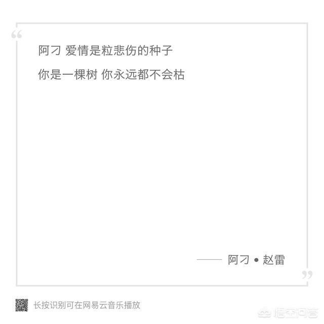 阿刁歌词是什么意思,《阿刁》这首歌让你有何感想？