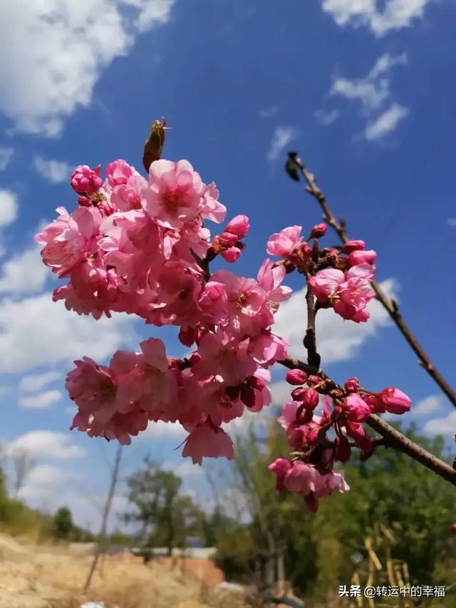 数天数歌词,10年了，能彻底了解一个人吗？