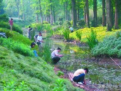 有水能养鱼虾,养殖的虾能在脏水里生存吗？