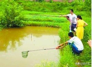 有水能养鱼虾,养殖的虾能在脏水里生存吗？