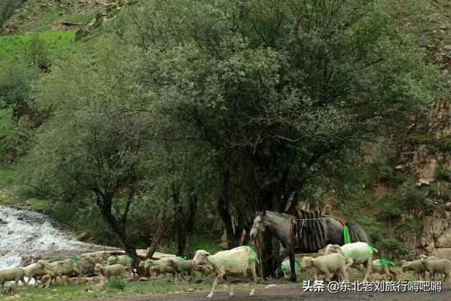 热贡唐卡,甘南怎么走才能处处是风景？