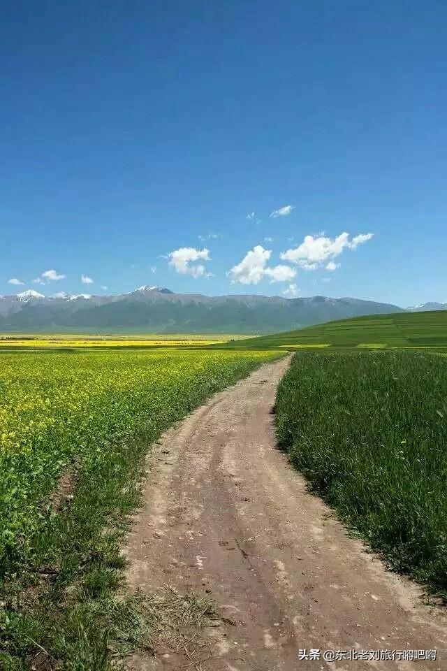 热贡唐卡,甘南怎么走才能处处是风景？