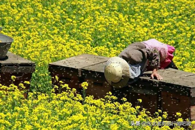 热贡唐卡,甘南怎么走才能处处是风景？