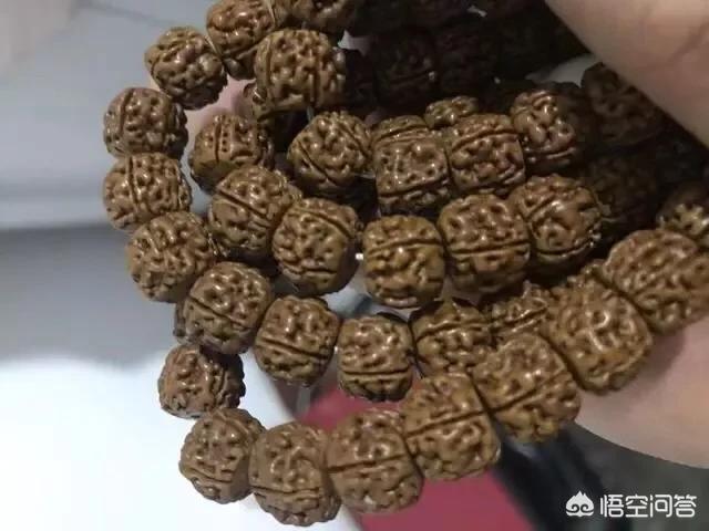 金刚菩提上什么油,小金刚菩提用什么样的油好呢？