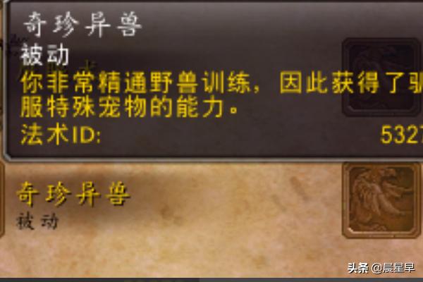 魔兽世界灵魂兽,魔兽世界灵魂兽豹子在哪抓？