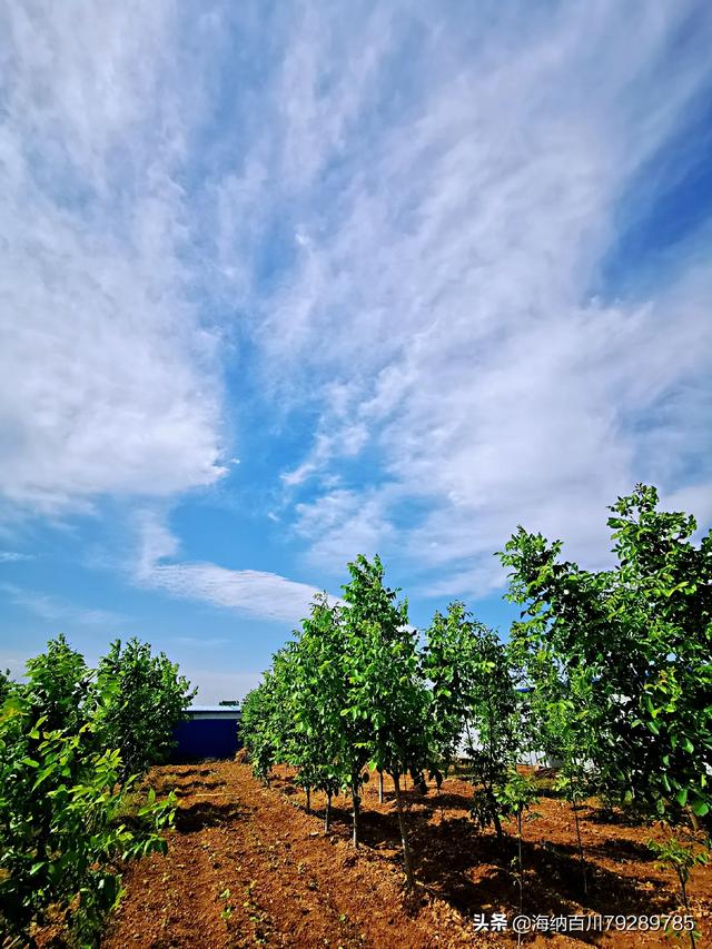 郑州打胎都还在现代,为什么郑州的外省人员比较少？