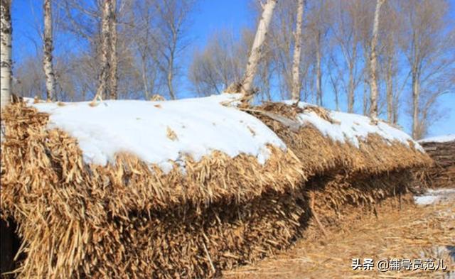 雾霾的形成原因和危害,哈尔滨雾霾的根本原因是啥？