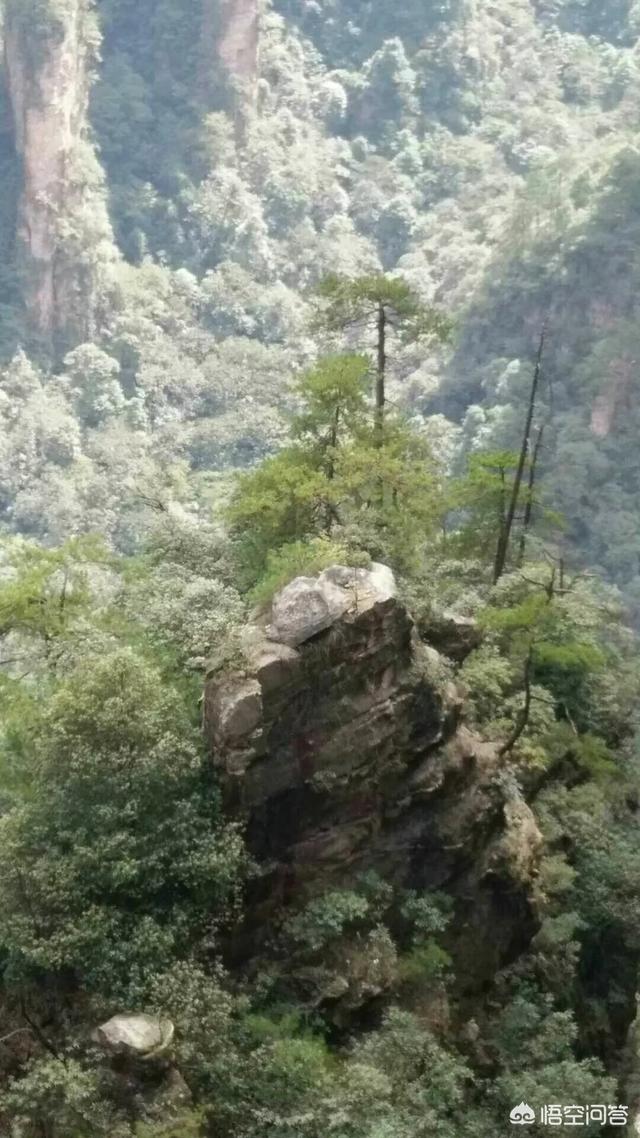 湖南有哪些旅游景点,湖南哪个旅游景点是“龙头”？