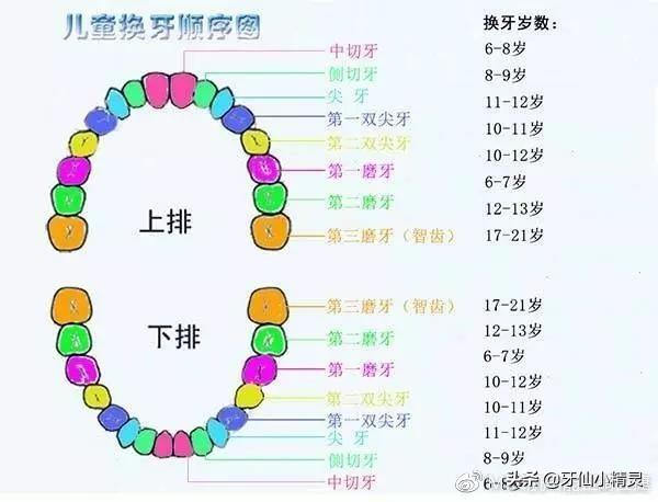 六龄齿几岁长,小宝宝牙齿需要做窝沟封闭吗？