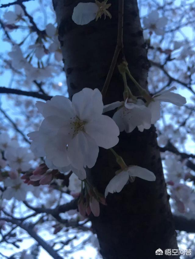 想写小说去哪个平台,自己写的小说可以在哪里发表？