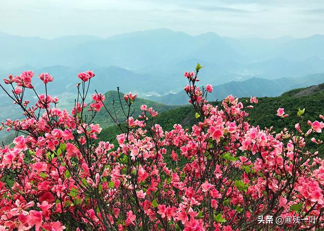 万玉华,五一上海周边可以去哪里人少些？