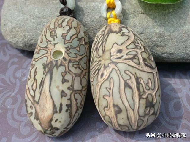 菩提子有多少种,金刚菩提不同的瓣数有什么意义？