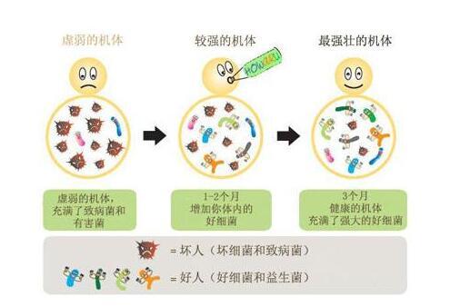 呋喃唑酮的副作用,鹦鹉鱼吃了呋喃唑酮怎么办？