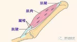 五十道阴影,运动损伤后，如何走出心理阴影？