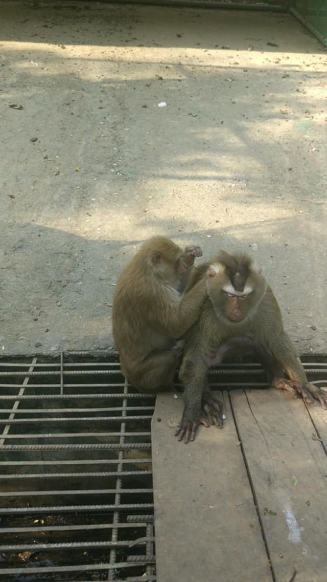 云南瑞丽女人多少钱,真实的云南缅甸边境是什么样的？