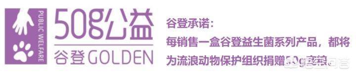 为什么养暹罗猫的人少,暹罗猫聪明吗？性格怎样？