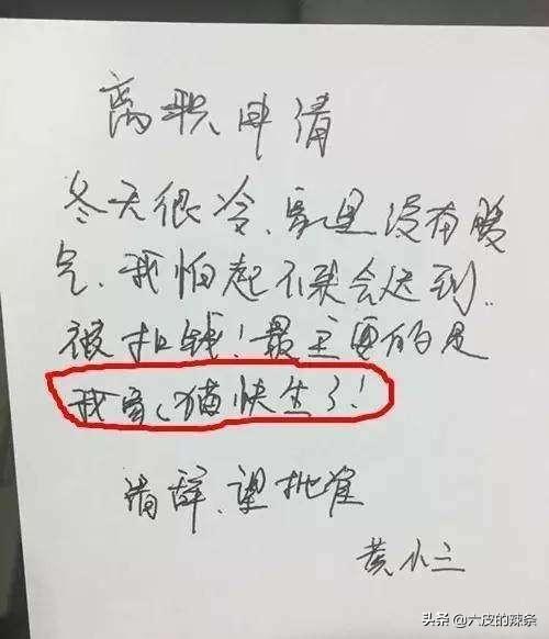 重生之简惜修仙,你见过什么奇葩的辞职申请？